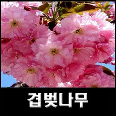 484227a953052de363dc4cbfb8a79640a8d4adce790c6090a6c598050a23.jpg