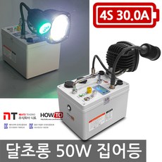 달초롱