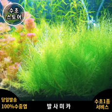 ffa81c8291ca21a7b2f5bfc9a449942556f3e4ecfd024784f07cb94db4f1.png
