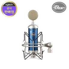 블루버드마이크