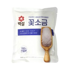 백설 천일염 꽃소금 500g, 1개