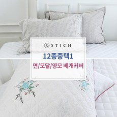 앤스티치양모