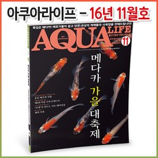 아쿠아라이프 2016년 11월호