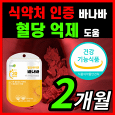 노플랜프로젝트