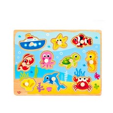 투키토이입체퍼즐