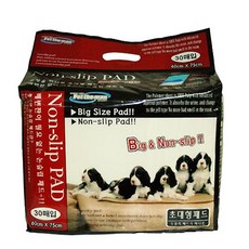 일산대형견애견호텔