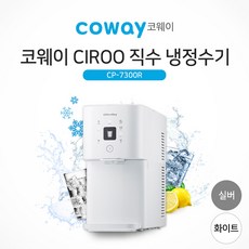 코웨이직수정수기