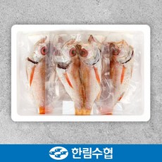 제주금태