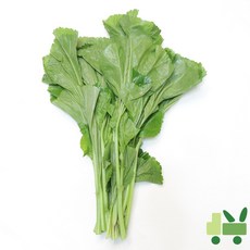 사라상회 아욱 8kg, 1개