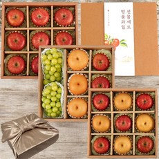 [추석선물추천] 벌꿀맛 과일선물세트 고급포장 백화점납품급, 1개