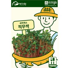 아시아종묘 새싹씨앗 적무순이(1kg), 1개