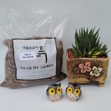 6kg하월시아 분갈이흙 명품분갈이흙(명성다육)하월시아흙, 2kg, 3개 - 정글시아