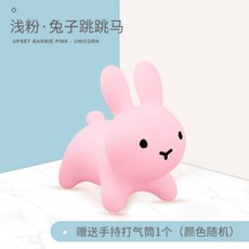 피카츄짐볼