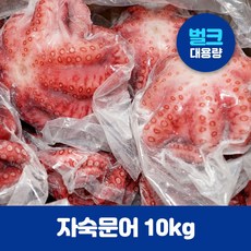 피문어10kg