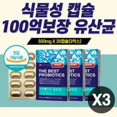 자궁에좋은영양제