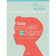 도대체 우리 아들은 왜 저럴까?:엄마는 편하고 아들은 똑똑해지는 몬테소리 홈스쿨링, 미스터제이