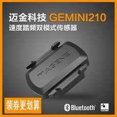 제미니센서
