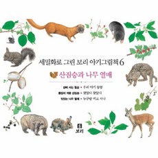 보리아기그림책자연