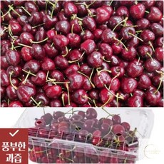 칠레산 체리 800G (26-28MM) 수입과일