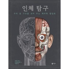 인체팝업북