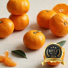 제주 산지직송 고당도 제주감귤, 1개, 5KG로얄과