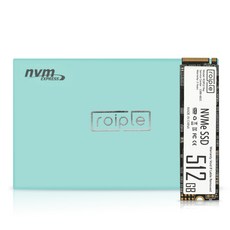 로이플 레이 M.2 NVMe SSD
