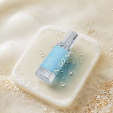 인써티 지속력좋은 오드퍼퓸 니치 섬유 향수 탈취제 멀티퍼퓸, 13.클린솝, 100ml, 1개
