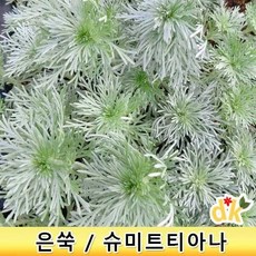 5190fc757dcc294c24b02fd0359a2e3a1329da41ea5a8f3e9e61637b3109.jpg