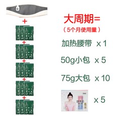 슬림 다이어어트 가방 기르기 숲 펠리프 완고형 지방 연소 중의학 의사다 양생 배출 오일 온찜질 강화 판, 빅 주기 아주까리 5케이스