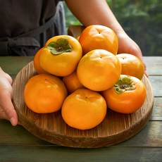 델푸릇수박