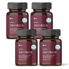 농촌푸드 양춘사 밸런스핏, 4개, 60정