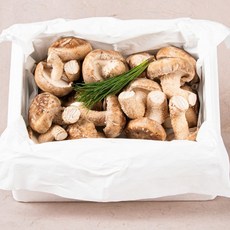 절과당 [산지직송] 친환경 경북구미 진송향버섯 1kg 송향/송화, 가정용 친환경 진송향버섯 1kg, 1개