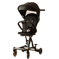 로이스트라이크프로