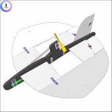 가오리글라이더