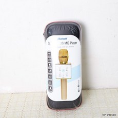 미니스피커마이크