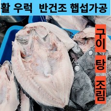 반건조 우럭 2미 마리당 250g 내외 국내산 품질, 1개, 500g(2미)