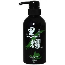 일본직발송 6. 아인 흑요 샴푸 350ML B0011EZ3QK