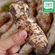 무농약 참송이버섯 송화버섯 추석선물 세트 가정용, 1개, 참송이버섯 선물세트500g