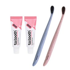 메디덴코 투투스 맘 휴대용 치약칫솔세트 / 양치덧 임산부치약, 맘 미니치약 2개+투투스브러쉬15 1세트(2ea)