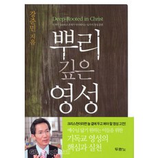 [개정판] 뿌리 깊은 영성 - 인격이 성숙하고 존재가 넉넉해지는 52가지 영성 훈련 - 도서출판 두란노 강준민, 단품