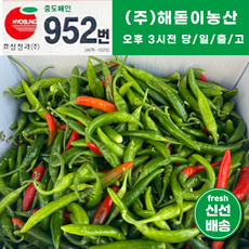 해돋이농산 국내산 청양고추 매운고추 못난이고추 1kg 2kg 3kg 5kg 10kg