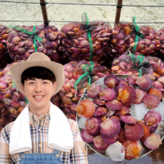 먹사부 통영 활 비단 홍 가리비 찜용 조개구이 국산 왕, A. (단품) 제철가리비(1kg), 1개