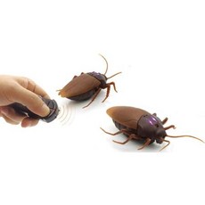 무선조종바퀴벌레