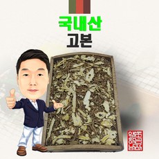 영암특산물