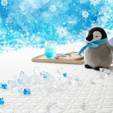 나이스필냉감패드