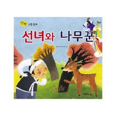 선녀와나무꾼보일러