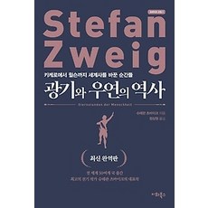 광기의역사