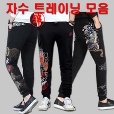 스카쟌