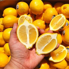 신선한 레몬 (개당 120g 내외), 10과, 1개