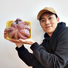 국내산 제수용 문어 1마리 통문어 데친 자숙문어 손질 문어숙회 돌문어 참문어 자연산, 1개, 500g 내외
